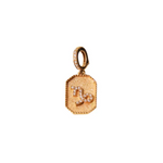Load image into Gallery viewer, Capricorn Charm