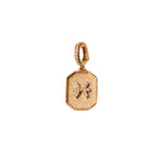 Load image into Gallery viewer, Pisces Charm