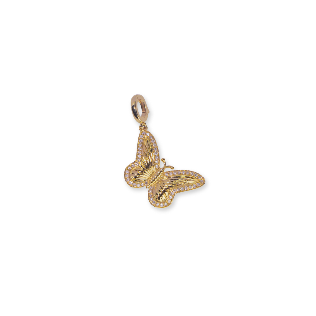 Transformation Charm