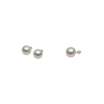 Load image into Gallery viewer, 18K Yellow Gold Edison Pearls - 13-14mm Earrings