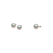 18K Yellow Gold Edison Pearls - 13-14mm Earrings